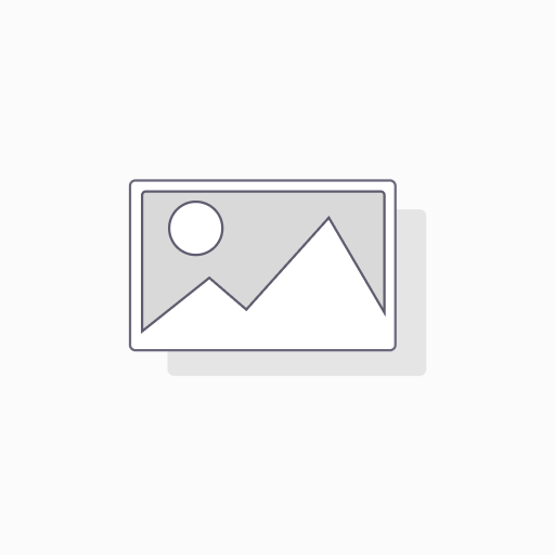 ZS LCD MINT M5CR PEARL NO EARS
